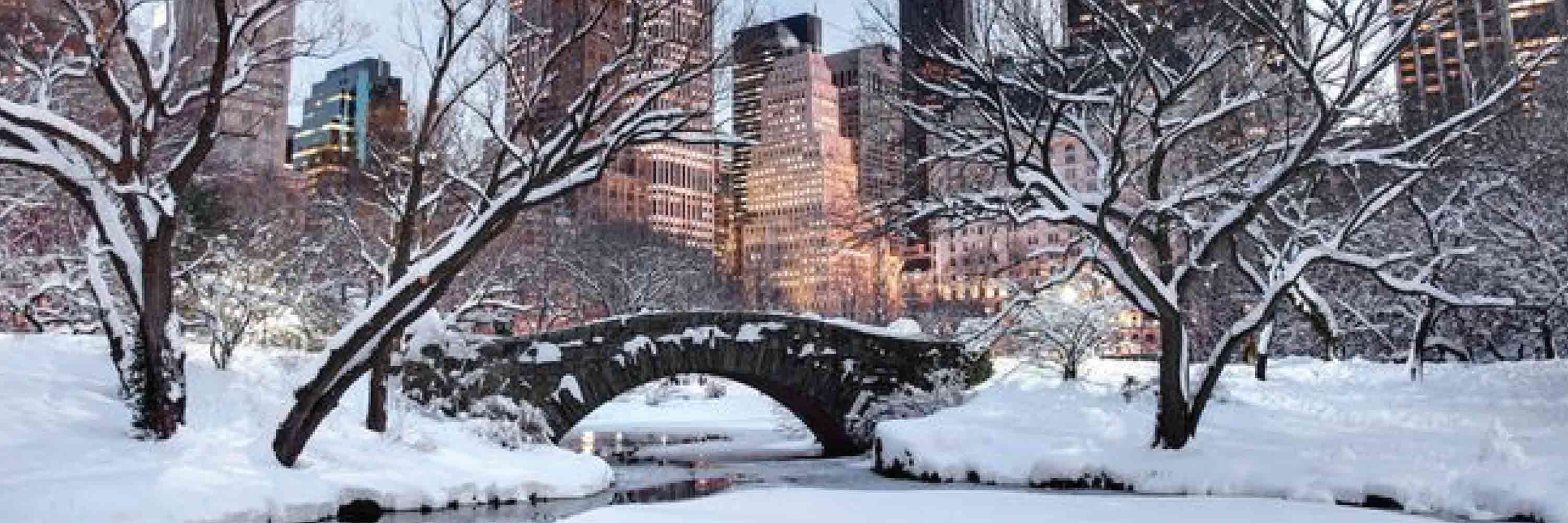 New York Reiseführer für den Januar Wetter und Events im Januar