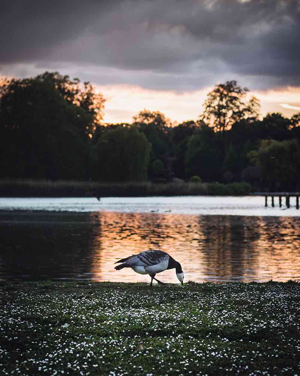 Regents Park Freilichtbühne 