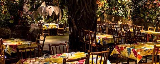 Rainforest Cafe Near Me - nature wallpaper