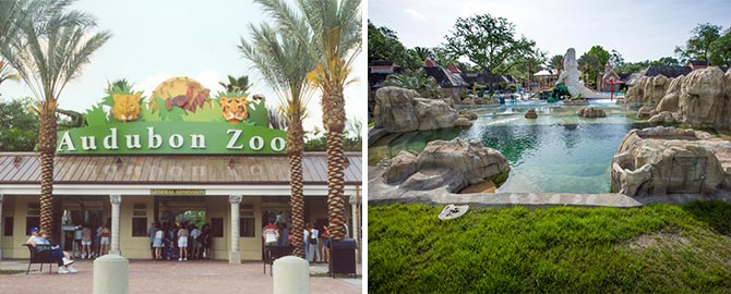 Audubon Zoo 2022 info and deals | Save $23.97 - Use New Orleans